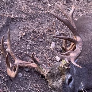 Meet your Posher, Matt